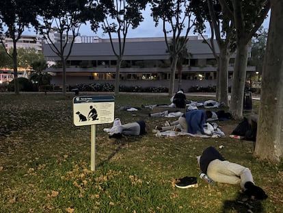 Varios migrantes duermen en un parque de Palma.