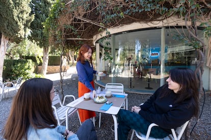 Terraza en el jardín de Casa Festín, de Málaga.