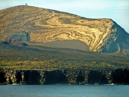 La isla de Surtsey emergió al sur de Islandia tras una erupción submarina en 1963. Las primeras plantas tardaron en aparecer una década. Hoy es un laboratorio natural de la relación entre volcanes y ecosistema.