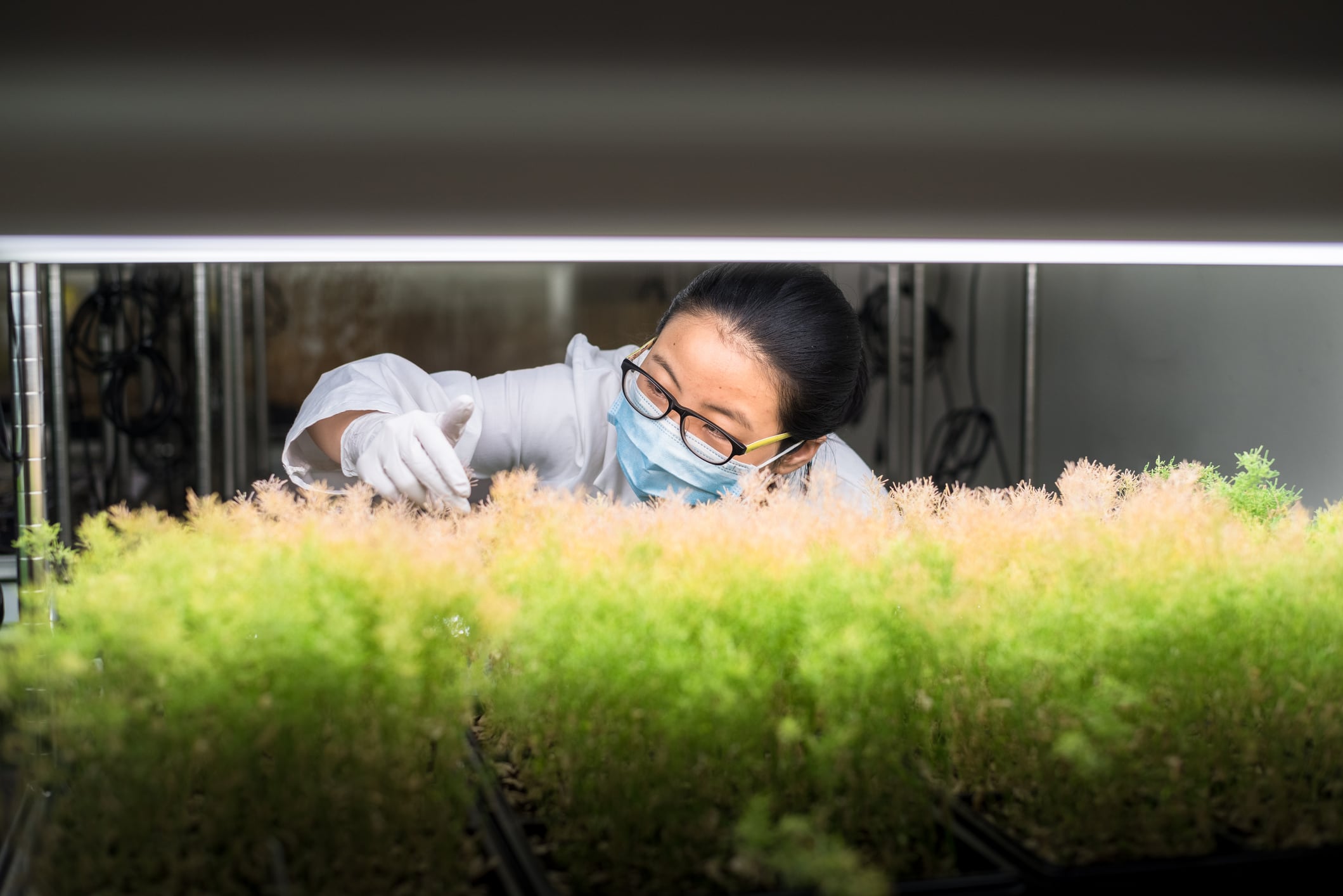 La agricultura europea llega al siglo XXI