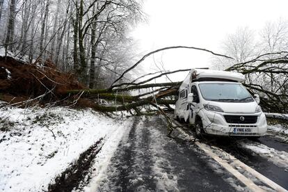 Un árbol caído aplasta una autocaravana en la A-40, cerca de Sennybridge (Gales).