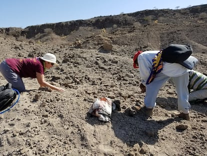 La investigadora Kaye Reed (izquierda), en el lugar en el que apareció el primer diente en Ledi-Geraru (Etiopía), el 14 de febrero de 2018.
