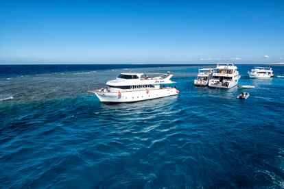 Barcos de buceadores amarrados en boyas en la zona de Hurghada, Egipto. 