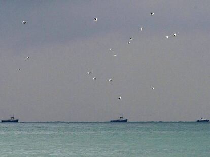 Vaixells de rescat durant la recerca de les víctimes i les restes de l'avió Tu-154.