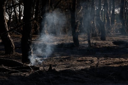 Rescoldos del fuego en una zona de Navalcarnero, este viernes.