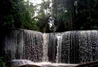 Cascada de la selva amazónica ecuatoriana