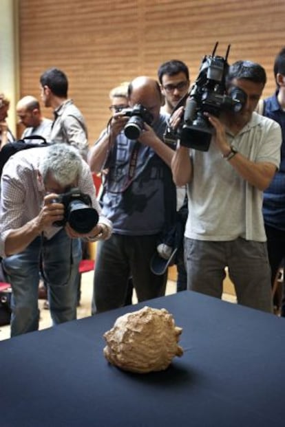 La testa romana durante su presentación a los medios.