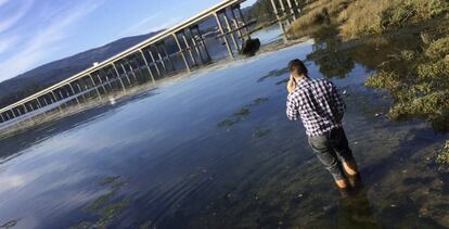 La zona pr&oacute;xima al puerto de Tarago&ntilde;a (Rianxo), donde fue hallado el m&oacute;vil de Diana Quer.