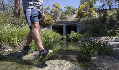 El arroyo del Plantío, en Las Rozas, uno de los ocho afluentes que concentra vertidos según el fiscal de Medio Ambiente.  