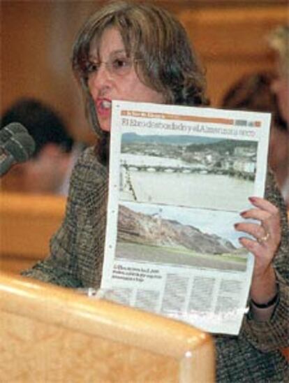 La senadora Mar Agüero, del PP, en un momento del debate.