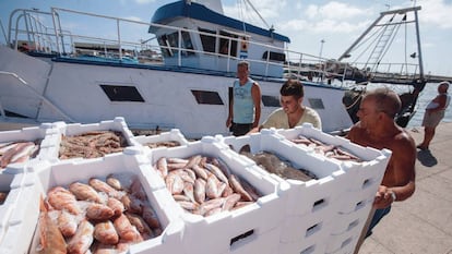 Pescadores desembarcan sus capturas en el puerto de Fiumicino, a unos 40 kilómetros de Roma.