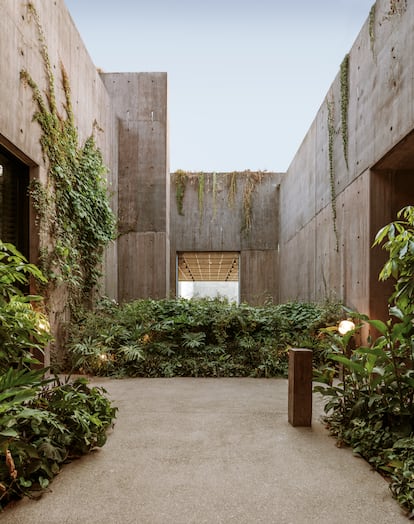 La vegetación utiliza el edificio de hormigón para crecer sobre él.