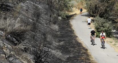 Una de las zonas afectadas por el incendio.