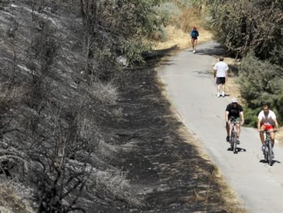 Una de las zonas afectadas por el incendio.