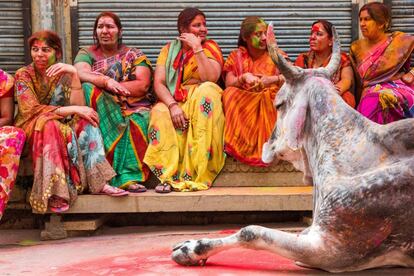 Un grupo de mujeres descansan manchadas de colores tras participar en el festival de Jaisalmer, India.