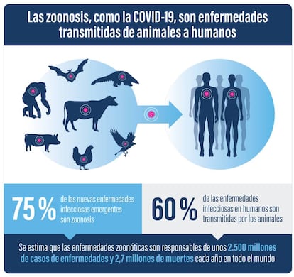 Zoonosis: Se dice de cualquier enfermedad propia de los animales que incidentalmente puede comunicarse a las personas.