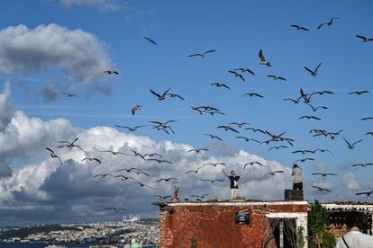 Un hombre posa para un amigo en un techo mientras las gaviotas vuelan sobre ellos en Estambul.