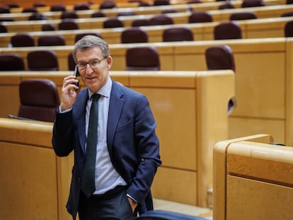 El presidente del Partido Popular (PP), Alberto Núñez Feijóo, durante una sesión plenaria en el Senado, el pasado 22 de diciembre.