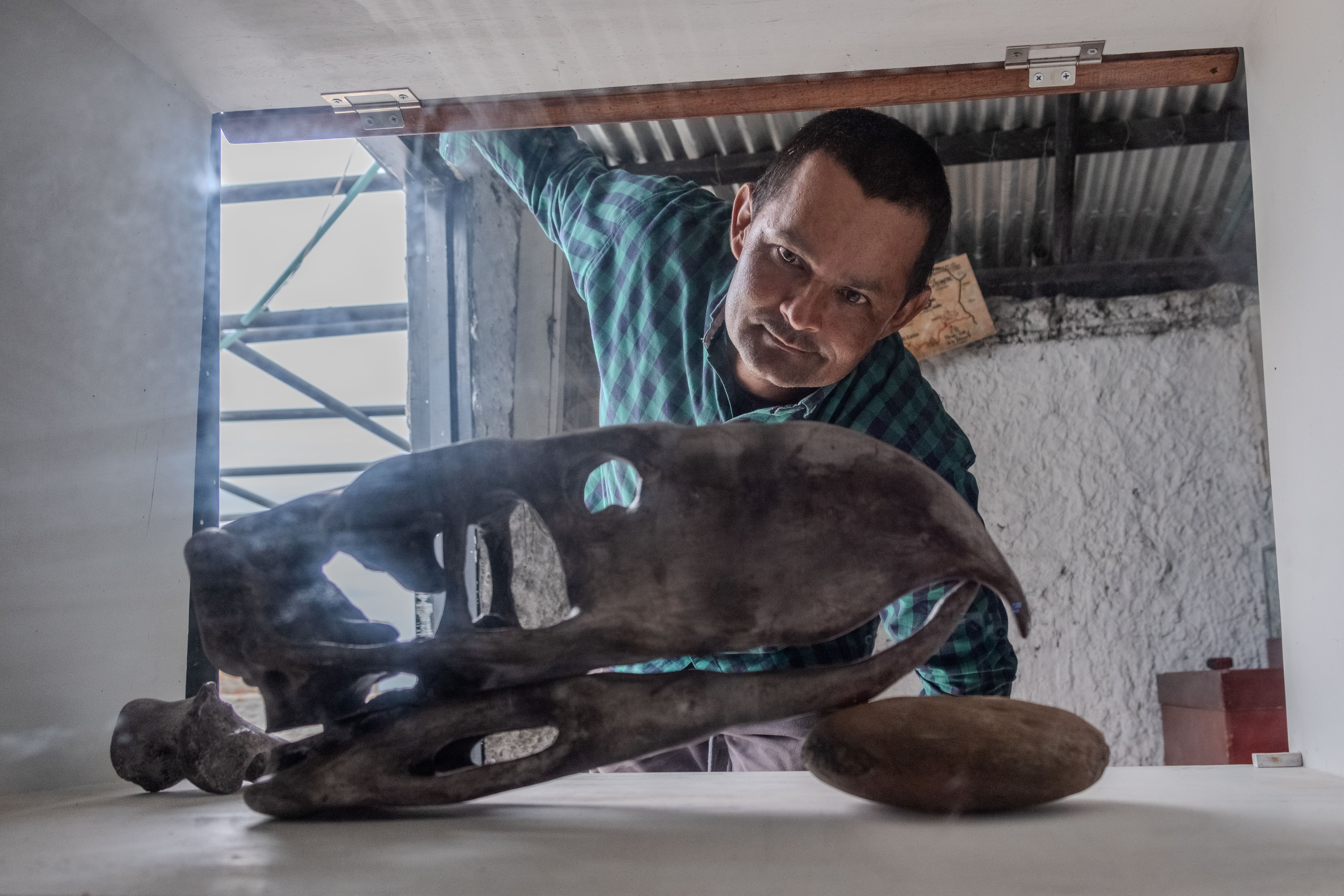 César Perdomo observa la réplica del ave del terror, fósil recientemente encontrado por él y de importante valor para la paleontología mundial.