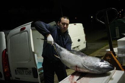 Un pescadero carga un atún en su furgoneta en Mercairuña (Pamplona), este martes.