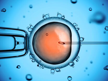 Investigadores logran crear óvulos artificiales a partir de células madre con la información genética de la madre

(Foto de ARCHIVO)
26/9/2018