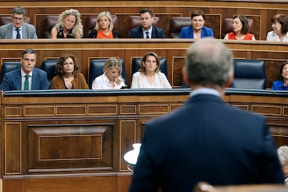 Alberto Núñez Feijóo se dirige a Pedro Sánchez en una sesión de control en el Congreso.