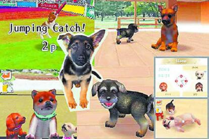 'Nintendogs' da un paso más en el concepto de <i>tamagochi</i> , e impresiona por la variedad de movimientos y acciones de la mascota.