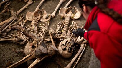 Laura Gutiérrez, antropóloga forense, durante una intervención en uno de los 10 cuerpos encontrados maniatados en la fosa CE017 del barranco de Víznar (Granada).