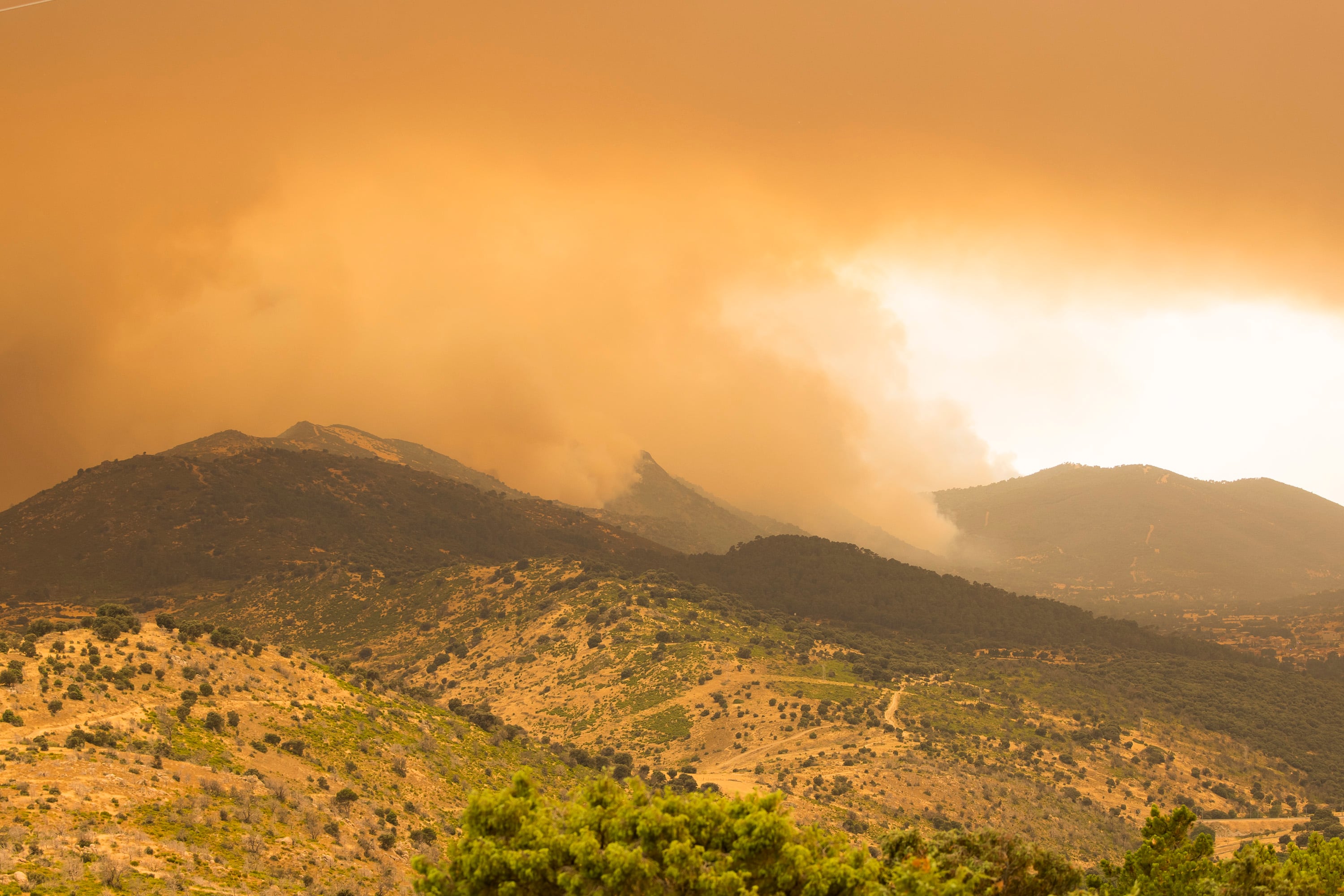 Última hora de los incendios forestales, en directo | El incendio en Madrid se encuentra en su “momento álgido” y está ya “fuera de capacidad de extinción”