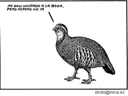 EL ROTO