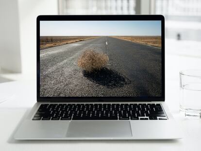 Una planta rodadora en la pantalla de un ordenador