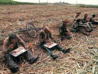 Cortadores de caña hacen un descanso para comer en una plantación cubana.