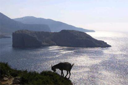 La isla Perejil en una imagen tomada ayer.