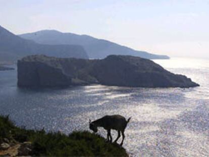 La isla Perejil en una imagen tomada ayer.