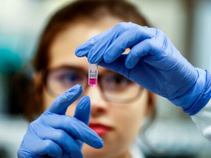 Buscar una vacuna contra la covid-19 es el objetivo de laboratorios científicos de todo el mundo.