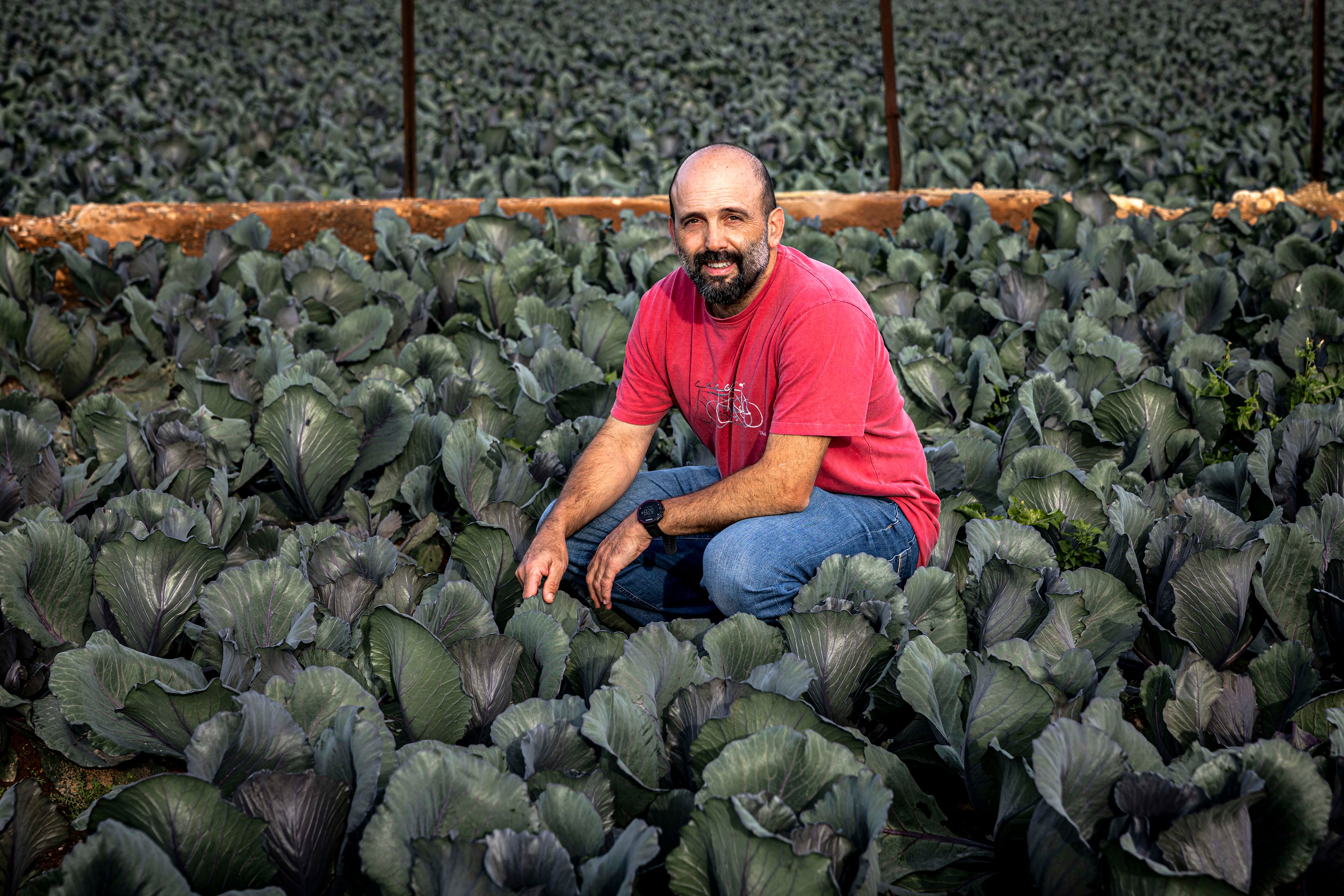 Xesco Girón, que trabajó dos décadas como ingeniero agrónomo y enólogo antes de convertirse en profesor, el jueves en un campo de la huerta de Godella (Valencia).
