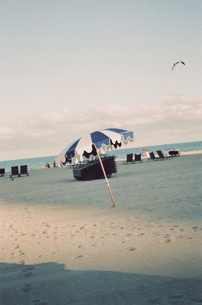 Instantáneas de Miami.