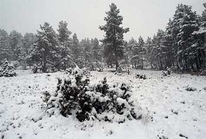 Sólo se salvan del temporal Galicia, Extremadura y Baleares. En la foto, la nieve caída ayer en Castellón.