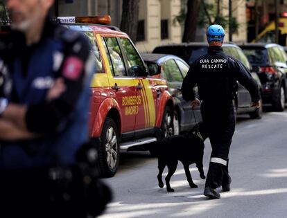 Un trabajador con un guía canino en las inmediaciones de la vivienda del barrio Salamanca donde se ha registrado la explosión. Eduardo Parra / Europa Press