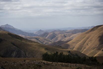 Según datos del Observatorio de la Tierra de la NASA, las montañas Makhonjwa, también conocidas como cinturón de piedra verde de Barberton o la tierra montañosa de Barberton, contienen rocas de 3.600 millones de años de antigüedad, lo que convierte a esta cadena montañosa con mayoría en Sudáfrica y un 20% en la vecina Esuatini (antiguo reino de Suazilandi) en una de las formaciones geológicas más antiguas del planeta. Es patrimonio mundial de la Unesco desde 2018, y sus cimas más altas, que no llegan a los 2.000 metros debido a la erosión, encuadran hermosos paisajes que suman a su geología excepcional una enorme riqueza de flora y fauna. La ciudad de Barberton es meca de geólogos y biólogos en pos de los orígenes de la Tierra y de algunas de sus primeras formas de vida, pues en este sitio hay grietas en un buen estado de conservación formadas inmediatamente después de los impactos ocasionados por el gran bombardeo de meteoritos que se abatió sobre la Tierra hace entre 4.600 y 3.800 millones de años. <br></br> Más información: southafrica.net