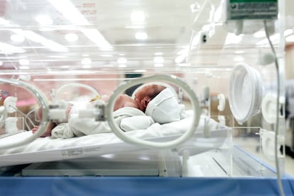 Un bebé recién en una incubadora en un centro hospitalario.