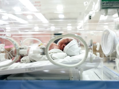 Un bebé recién en una incubadora en un centro hospitalario.