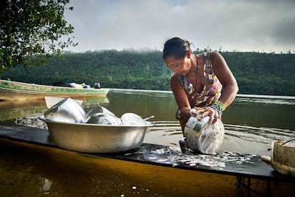 Una mujer indígena Rikbaktsa limpiando una olla a orillas del río Arinos, al norte de Mato Grosso.