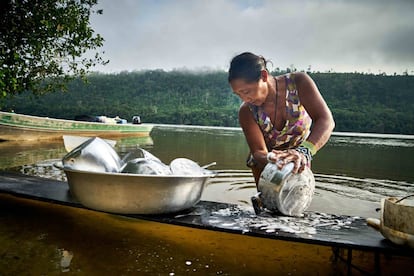 Una mujer indígena Rikbaktsa limpiando una olla a orillas del río Arinos, al norte de Mato Grosso.