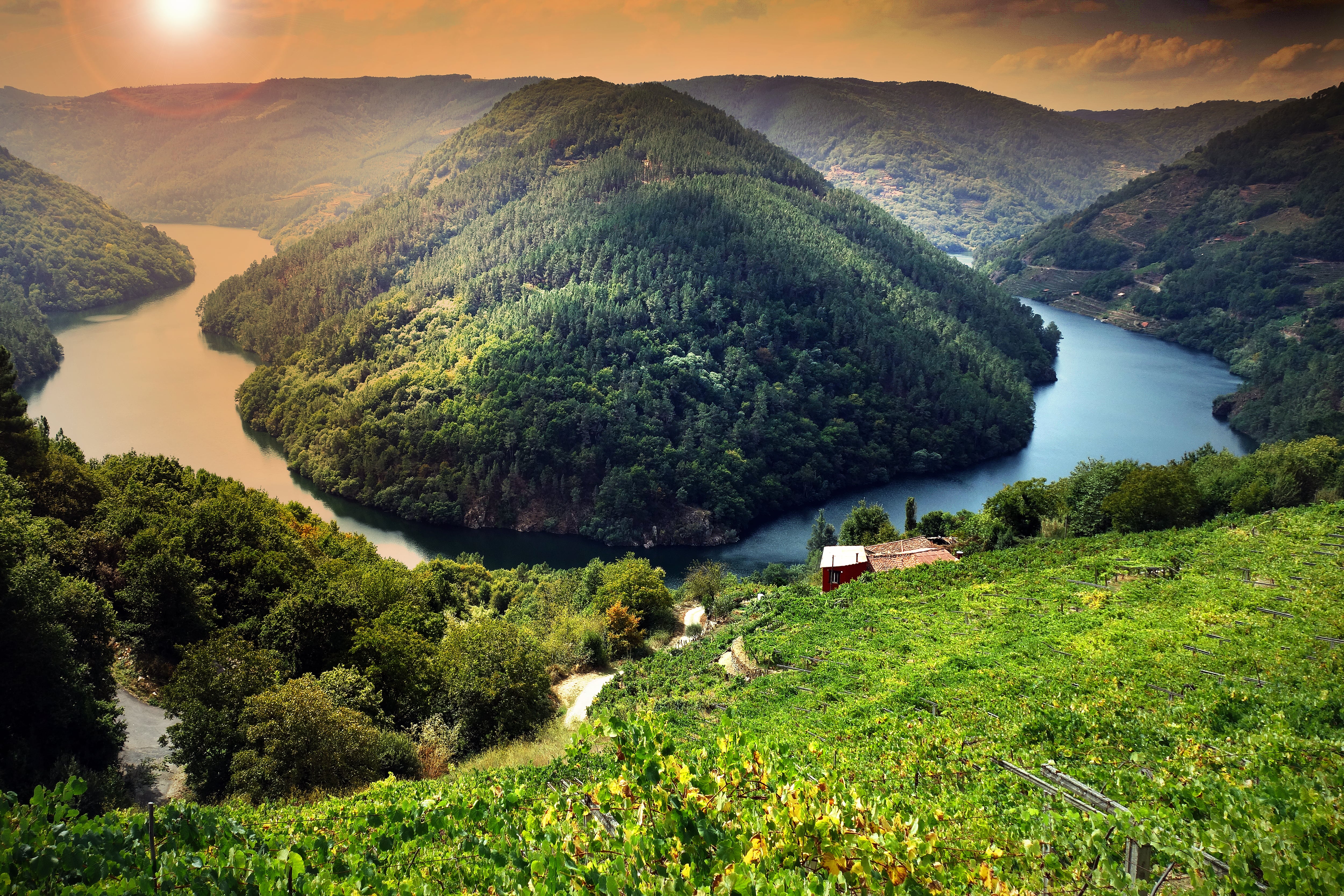 La Unesco frena la candidatura de la Ribeira Sacra a Patrimonio de la Humanidad