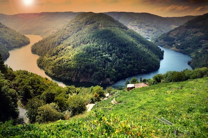 El cañón del río Miño, en la Ribeira Sacra. 