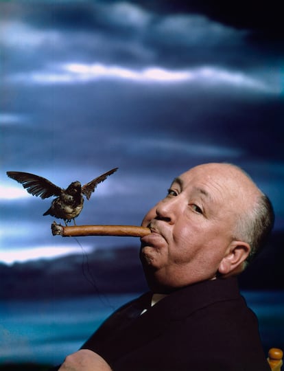 Retrato a Alfred Hitchock, durante la grabación de su película 'Los Pájaros', en 1962.
