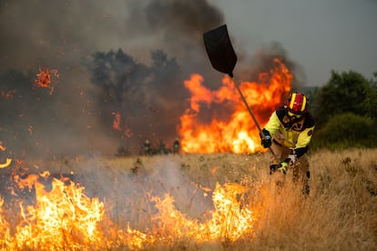 Un bombero del Ayuntamiento de Zamora durante las labores de extinción del fuego en la localidad de Losacio.