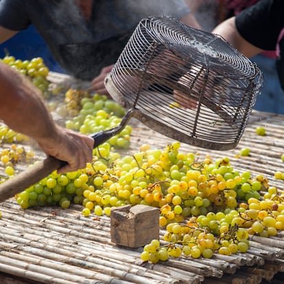 L´Escaldà es una técnica ancestral usada en la comarca de la Marina Alta para el secado de la uva de moscatel y la elaboración de la pasa.