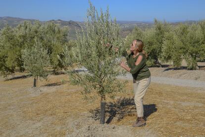 La agricultora María José Serrano, en un campo de olivos en Alcaudete (Jaén).